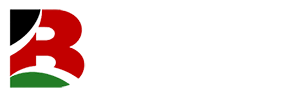Black Democratics of America (BDA)
